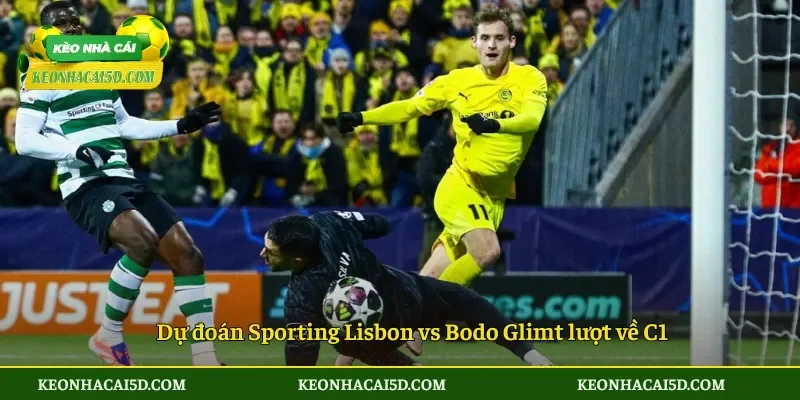 Dự đoán Sporting Lisbon vs Bodo Glimt lượt về C1