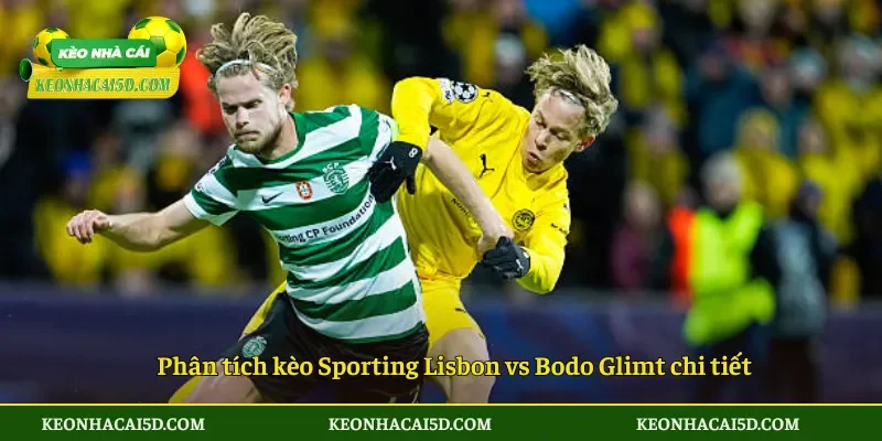 Phân tích kèo Sporting Lisbon vs Bodo Glimt chi tiết
