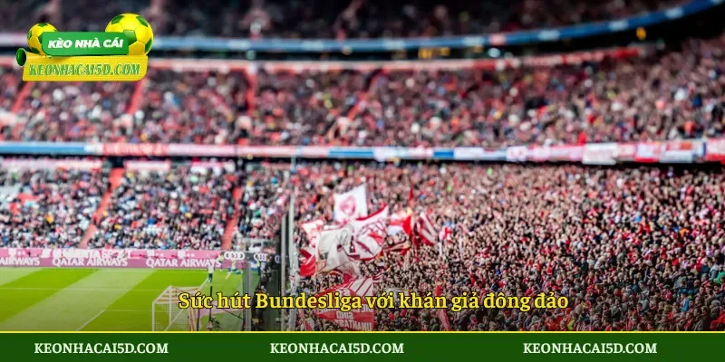 Bundesliga – Toàn cảnh giải vô địch Đức hấp dẫn giàu bản sắc 2 Sức hút Bundesliga với khán giả đông đảo
