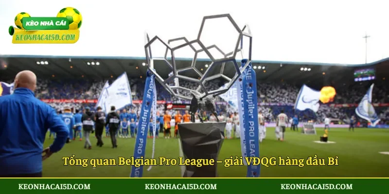 Tổng quan Belgian Pro League – giải VĐQG hàng đầu Bỉ