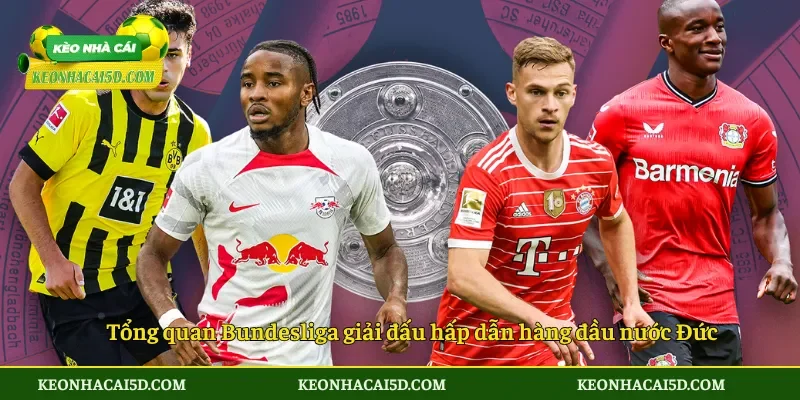 Bundesliga – Toàn cảnh giải vô địch Đức hấp dẫn giàu bản sắc 4 Tổng quan Bundesliga giải đấu hấp dẫn hàng đầu nước Đức